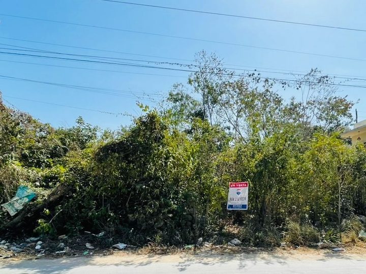 Terreno en Venta en Tulum Pueblo en la Veleta — La Veleta, Tulum, Quintana Roo