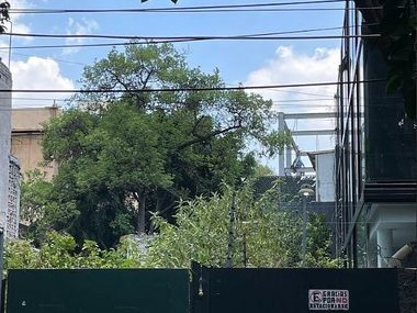 Terreno Comercial en Venta en Copérnico, 150M2, Anzures, Miguel Hidalgo — fotografía 3